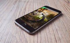 什么能力的技术合伙人才适合一个专业的APP开发