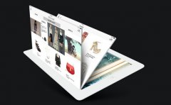 闲置奢侈品APP平台市场前景分析