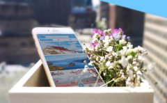 教育培训服务APP开发行业的痛点在哪里？