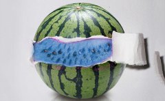 食安查APP上线让食品安全信息查询更便捷