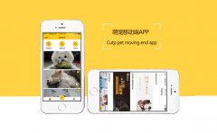 萌宠社交APP教你打造一支萌宠世界