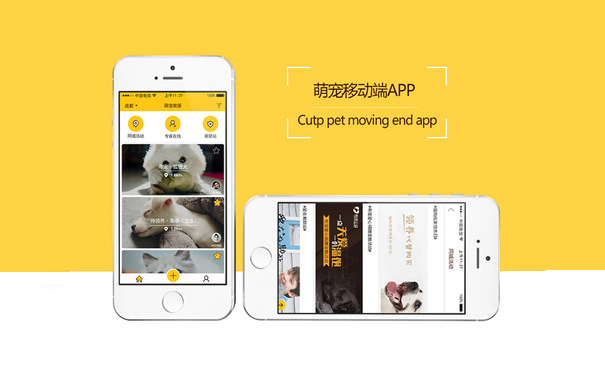 萌宠社交APP教你打造一支萌宠世界