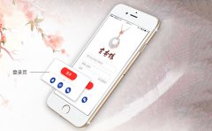 手机购物APP制作方案怎么解决商家需求