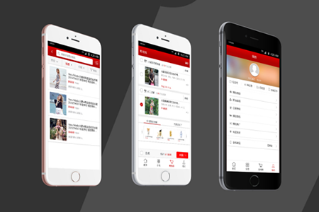 智能监控系统开发解决方案