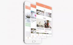 商城类APP定制开发给用户提供优质的购物服务