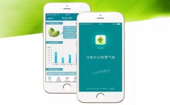 智慧农业APP定制开发打造智能化农业平台