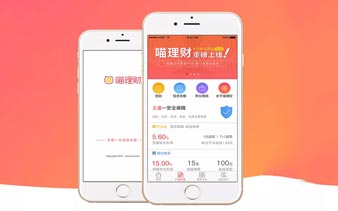 龙龙理财，APP软件案例分享