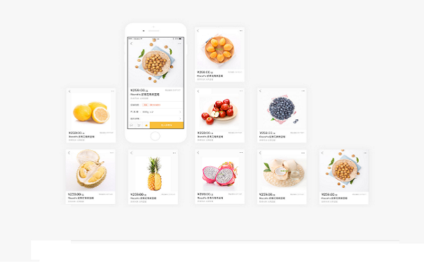 生鲜电商APP开发
