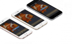 深圳APP开发公司：定制开发一款APP需要多少钱?