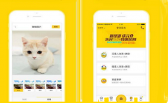 宠物垂直电商APP开发功能定制解决方案