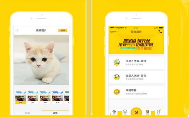 宠物垂直电商APP开发功能定制解决方案