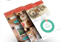 宠物电商APP开发需要注意以下几点