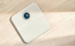 智能体脂秤APP开发功能方案