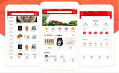 开发一个自营商城APP的功能方案浅析