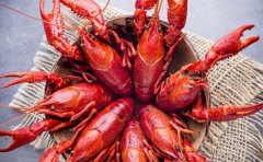 菜谱APP开发未来发展趋势分析