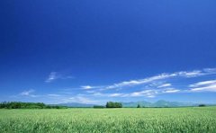 空气质量检测APP开发原因浅析