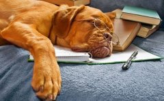 智能睡眠APP开发会给人们生活带来什么影响？