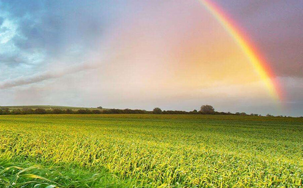 农业电商APP开发